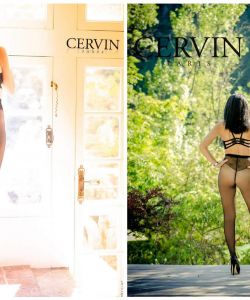 Cervin - Tights Stockings 2016
